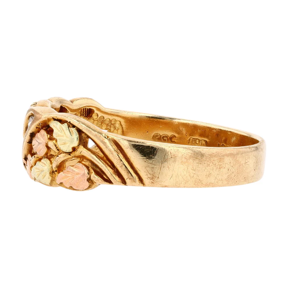 10K Two-Tone Gold Diamond Band Ring - Image 2