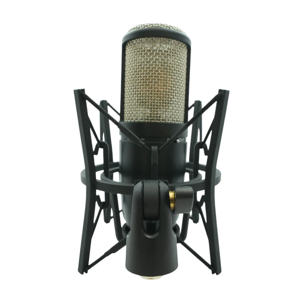 Dual Capsule Condenser Microphone with Case - Image 2