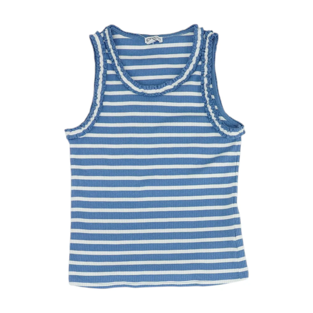 Blue Striped Blouse