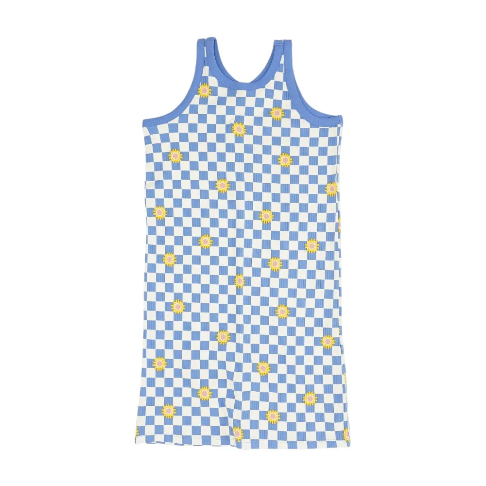 Blue Check Dress
