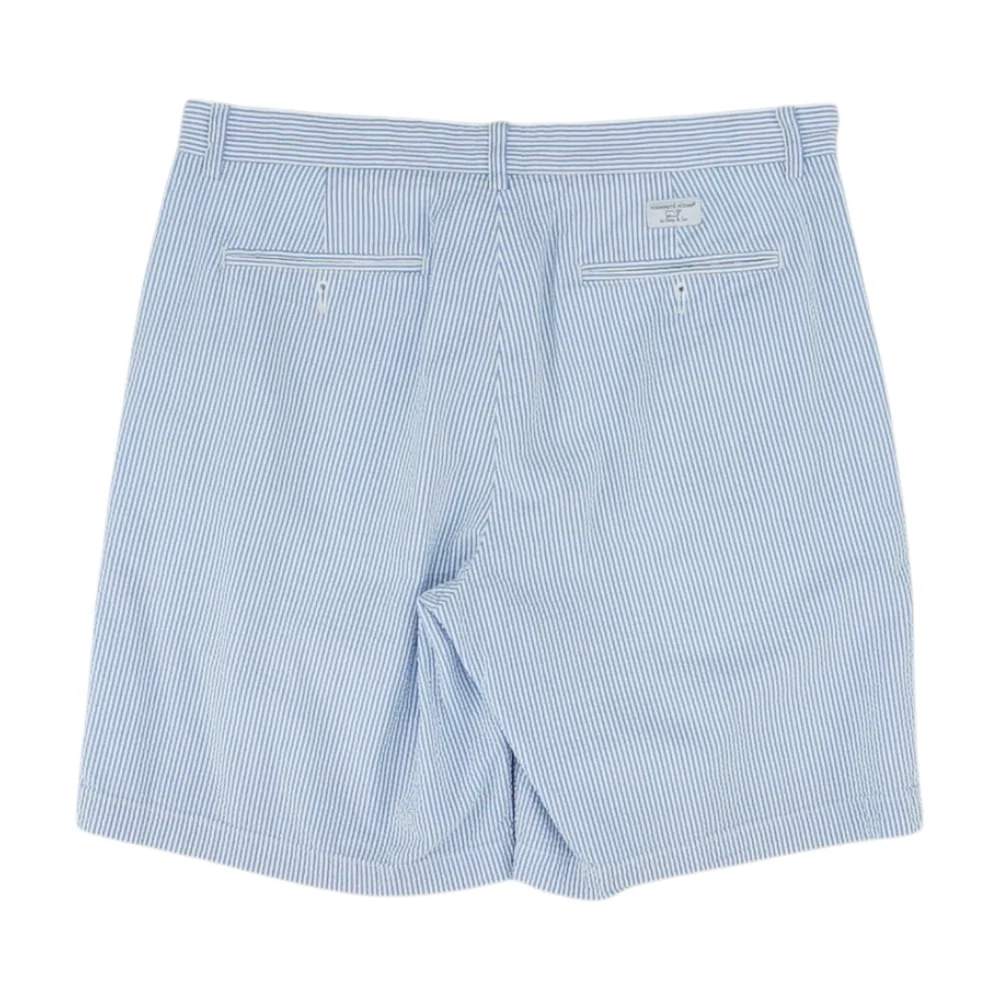 Blue Striped Chino Shorts - Image 2