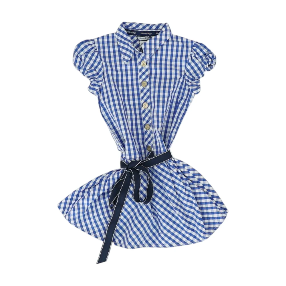 Blue Check Dress