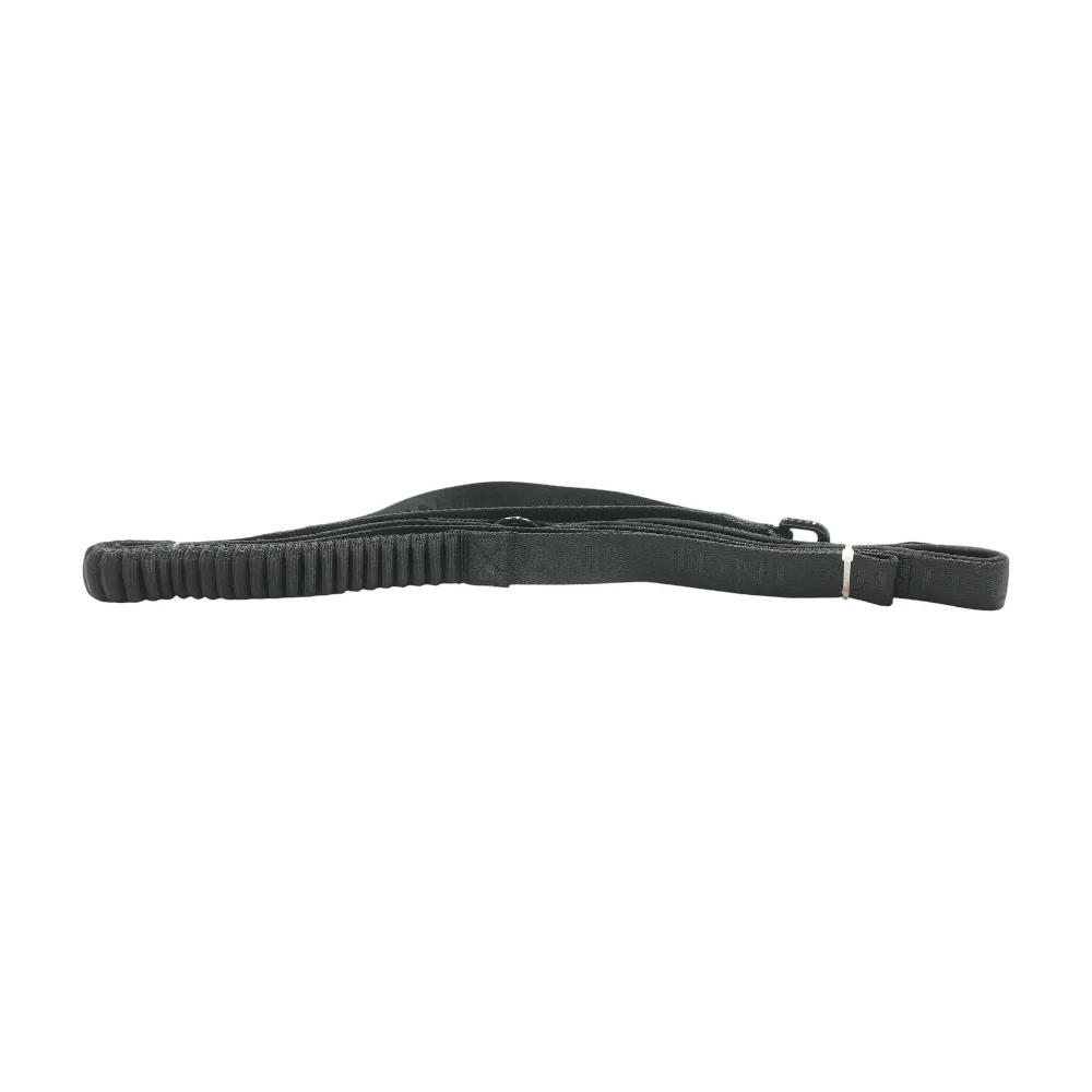 Bungee Dog Leash - Image 2