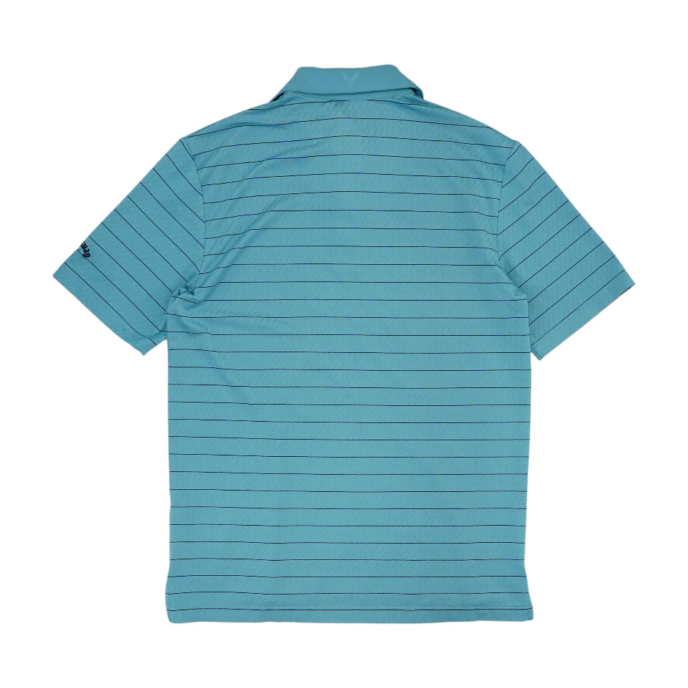 Blue Striped Short Sleeve Polo - Image 2