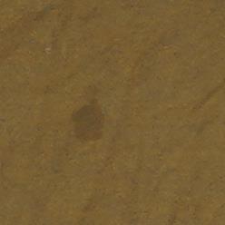 Brown Solid T-Shirt - Image 3