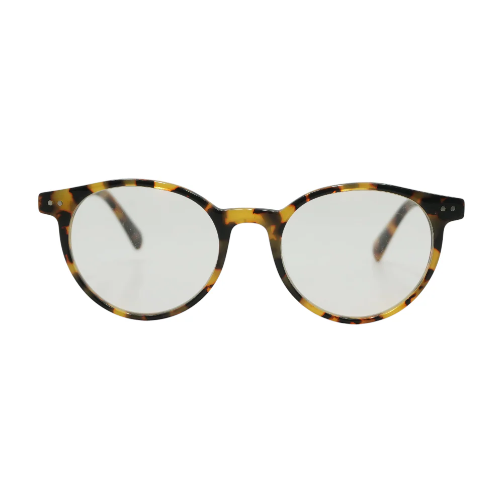 Tortoise Z19B-19 Round Prescription Eyewear - Image 2