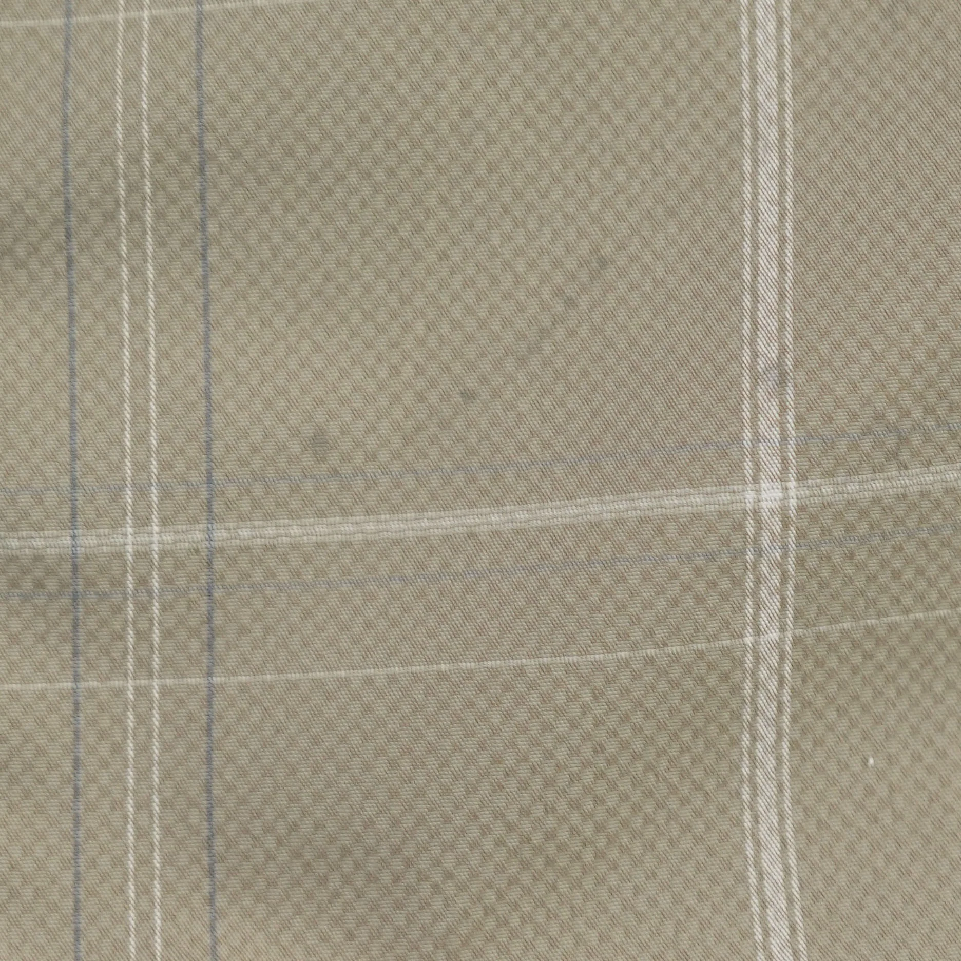 Tan Plaid Chino Shorts - Image 3